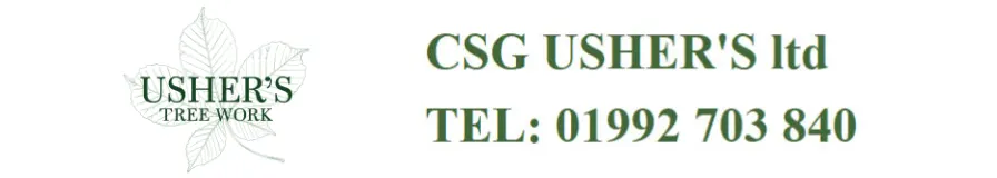 CSG Usher's