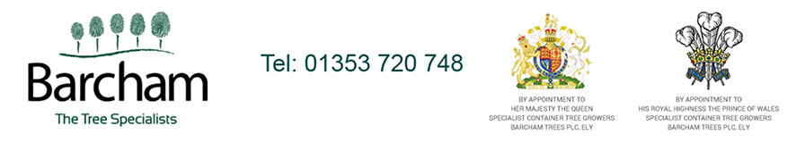 Barcham - The Tree Specialists