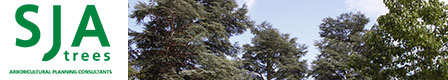 SJA Trees
