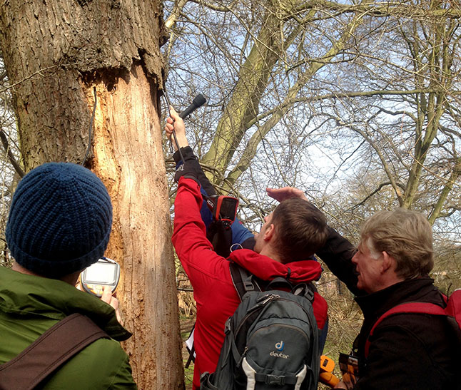 LTOA Bats and Woodland Training course 3 March 2016