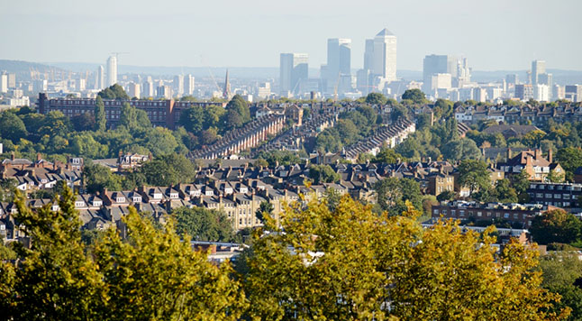  The value of London’s trees is proven in ground breaking report   